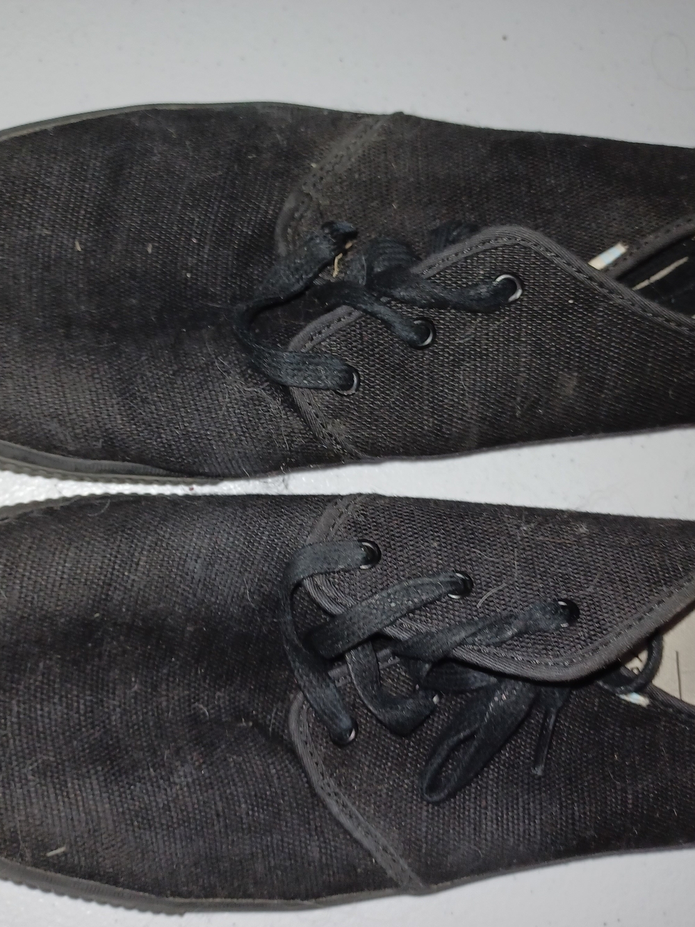 Toms Men's Black Canvas Low-Top Sneakers